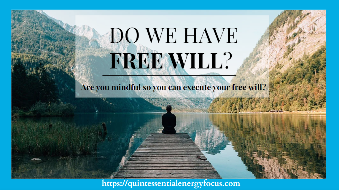 Do We Have Free Will? – Quintessential-Energy-Focus